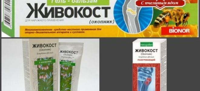 Живокост — бальзам для костей и суставов: инструкция, цена, состав