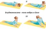 Упражнения при хондрозе грудного отдела позвоночника: фото и советы