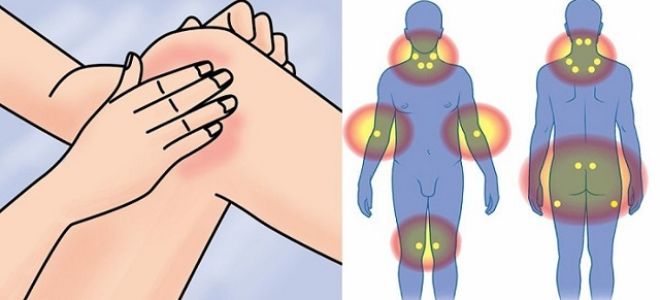 Боли в мышцах ног выше колен: причины и болезни, вызывающие боли