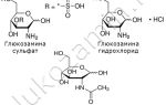Глюкозамин и хондроитин: сравнение и фармакологические свойства