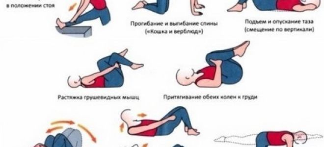 Гимнастика для спины при остеохондрозе: комплексы упражнений