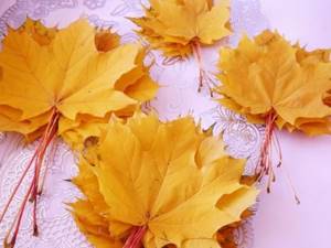 Лечение суставов кленовыми листьями: как действует
