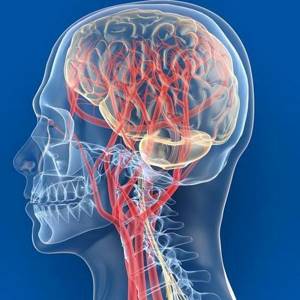 Препараты улучшающие мозговое кровообращение при шейном остеохондрозе