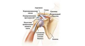 Причины и лечение боли в плечевом суставе. Список болезней
