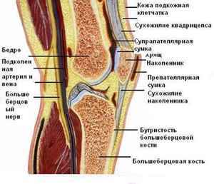 Боль под коленом сзади: причины, диагностика, лечение