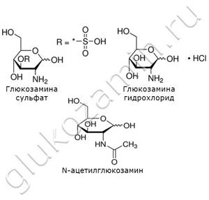 Глюкозамин и хондроитин: сравнение и фармакологические свойства