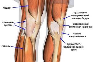 Болит колено при сгибании и разгибании: лечение, признаки