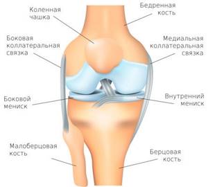 Вывих коленного сустава: симптомы, как лечить вывих колена и коленной чашечки