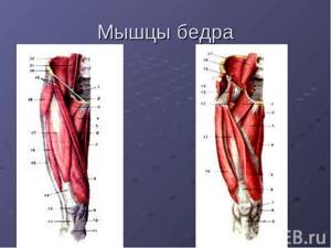 Видео презентация: профилактика гонартроза у пациентов с внутрисуставными переломами