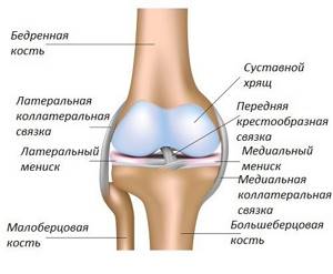 Народные средства лечение деформирующего артроза коленного сустава