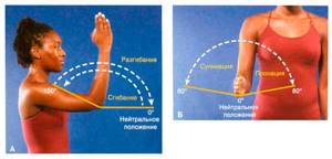Контрактура локтевого сустава: восстановление после перелома
