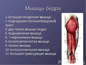 Видео презентация: профилактика гонартроза у пациентов с внутрисуставными переломами