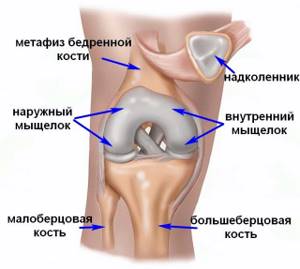 Видео презентация: переломы дистального отдела бедренной кости. И.Г. Беленький (С-Петербург)
