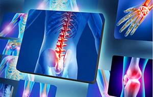 УЗИ плечевого сустава: отличия от рентгена, МРТ и КТ.