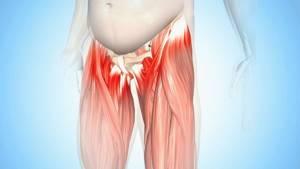 Болезни тазобедренных суставов: какие бывают и способы лечения