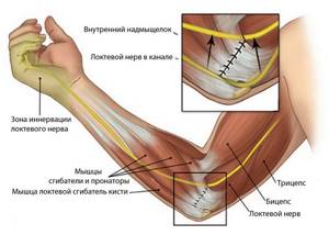 Болезни локтевого сустава: перечень основных и способы лечения