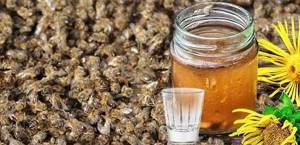 Подмор пчелиный для суставов: рецепты и полезные свойства