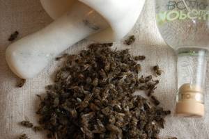 Подмор пчелиный для суставов: рецепты и полезные свойства